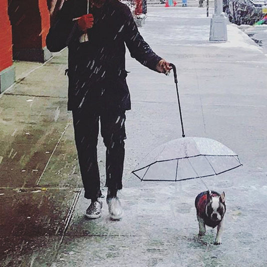 Transparent Pet Umbrella Dog Rain Gear